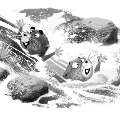 Crayfish Catchers