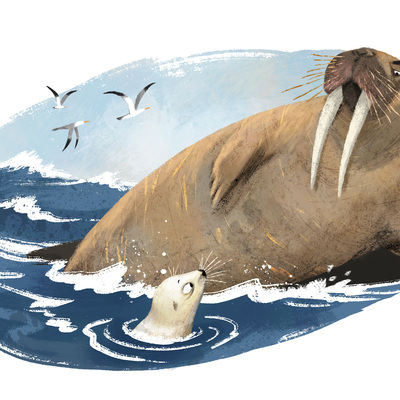The White Seal